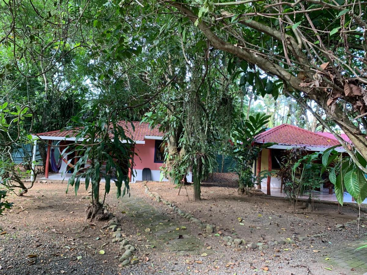 Hotel Brigitte´s Ranch Cahuita Exterior foto