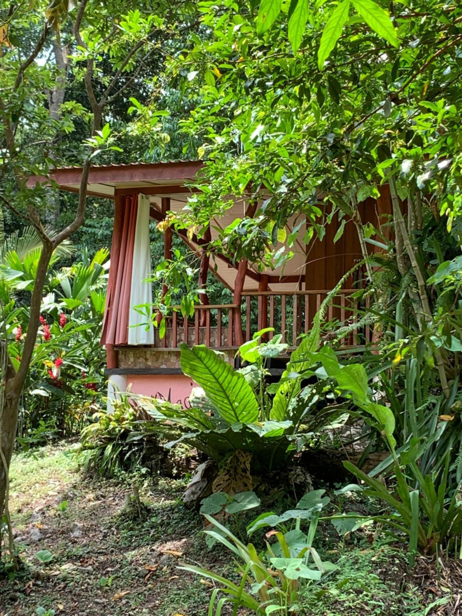 Hotel Brigitte´s Ranch Cahuita Exterior foto